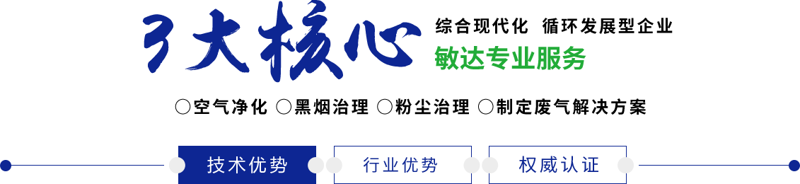 骚逼被爆操敏达环保科技（嘉兴）有限公司